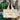 Coastal Vintage Canvas  Bag/Tote