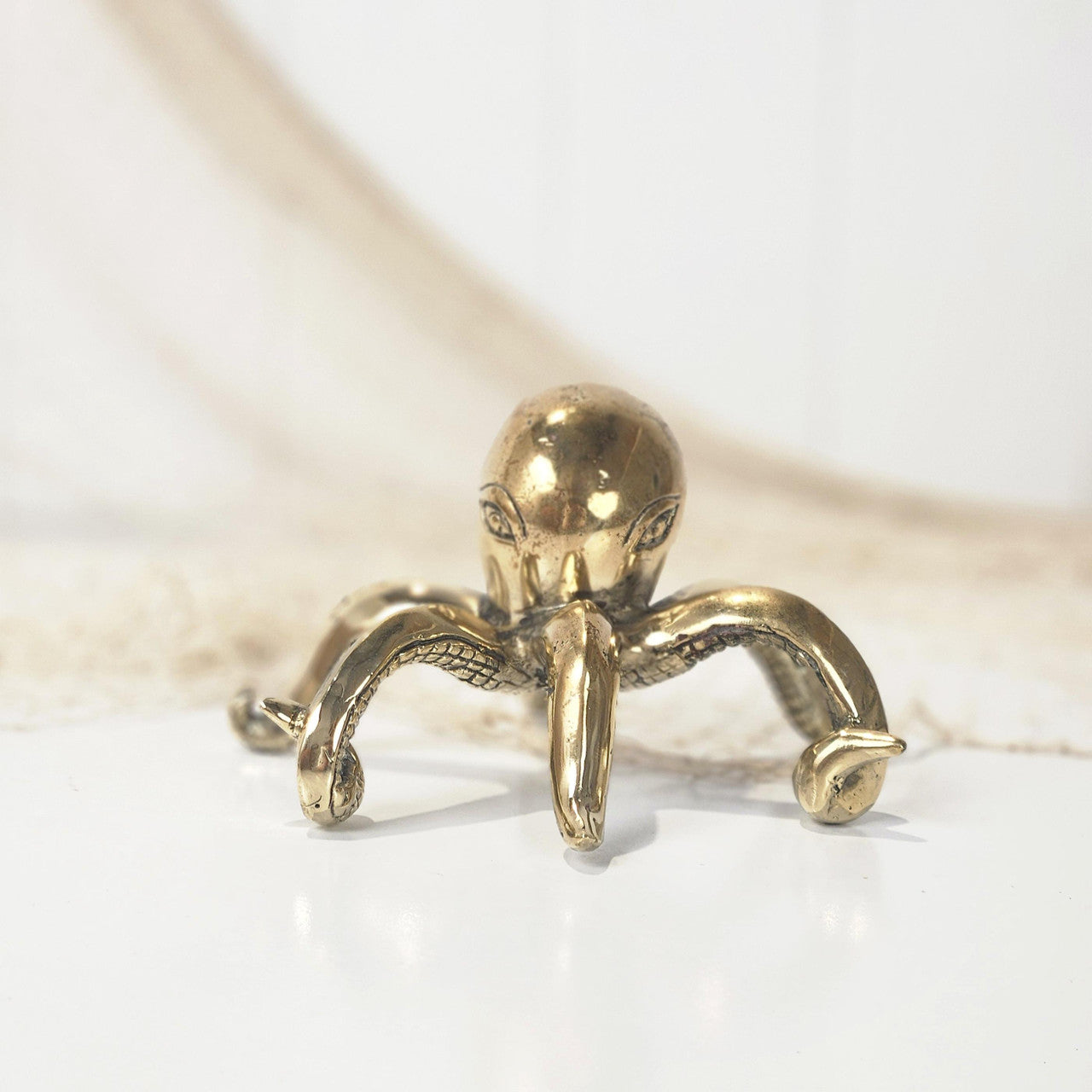 Octopus -Shiny #4915