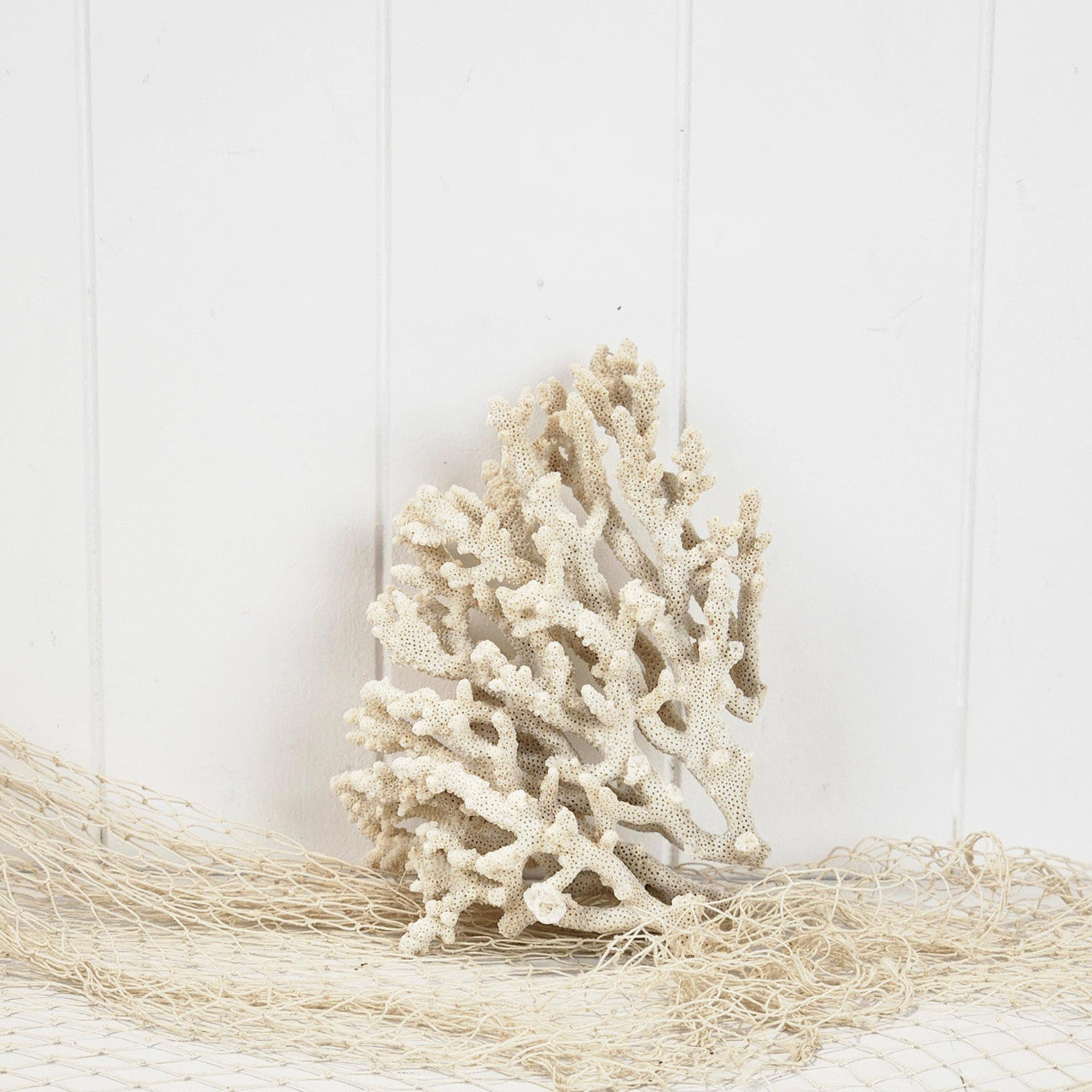 Coral  #4999