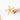 Starfish #8376