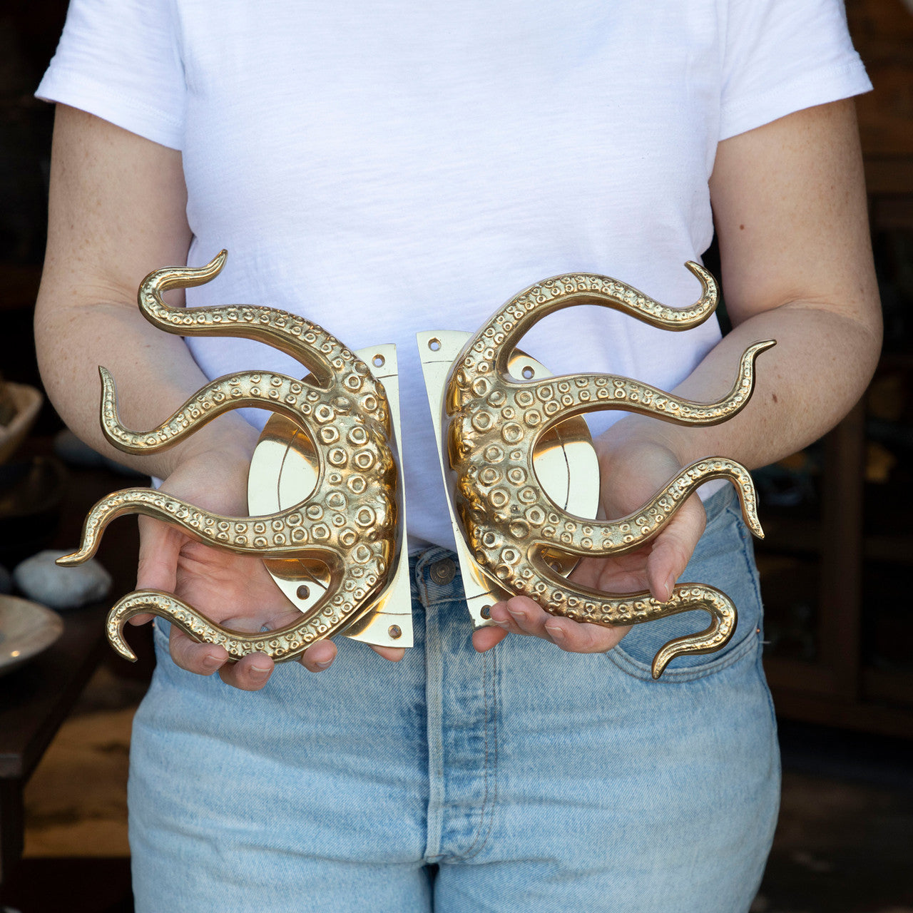 Octopus Door  Handles Shiny #078s