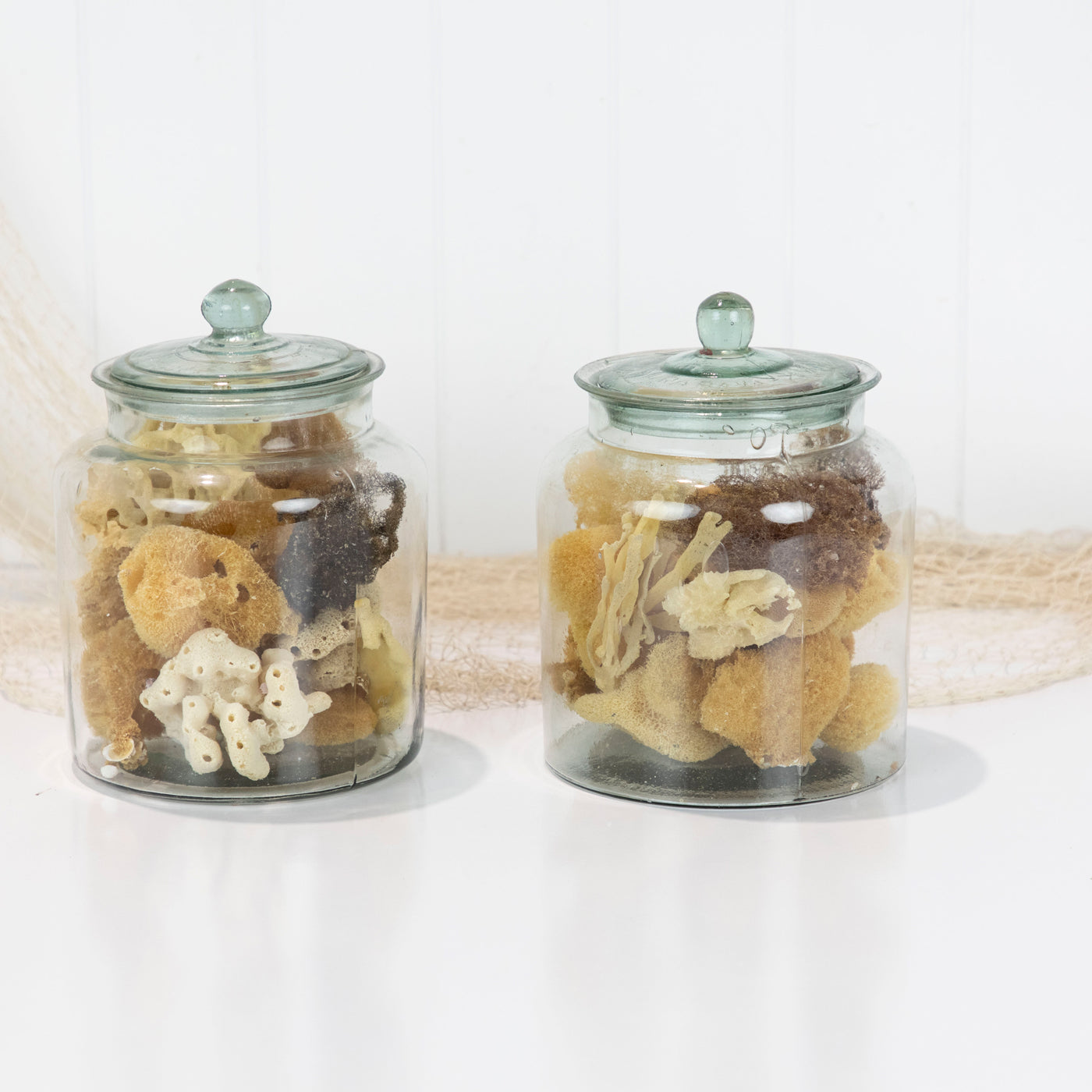 Jar of Sponge #6119