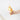 Trumpet Shell (S) #6026
