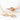 Triton Trumpet Shell (S) #6621